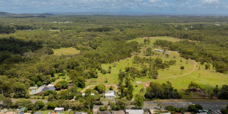 Council progresses Significant Contracting Plan for Birkdale parkland