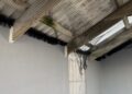 Vandals target bird netting at ferry terminal