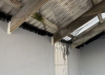 Vandals target bird netting at ferry terminal