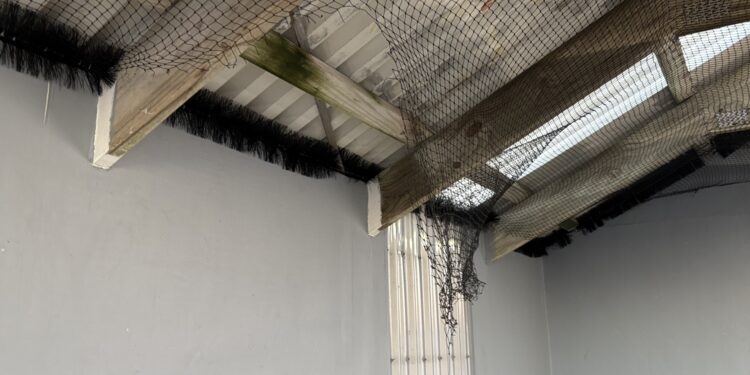 Vandals target bird netting at ferry terminal