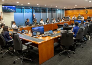 Japanese students provided with an insight into local government