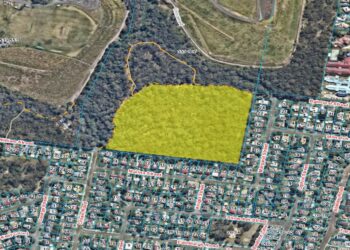 Planned burn: Judy Holt Bushland Reserve, Birkdale – 6 August 2026