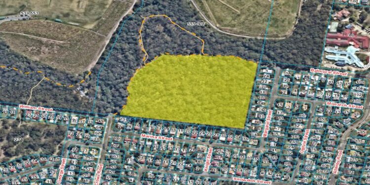 Planned burn: Judy Holt Bushland Reserve, Birkdale – 6 August 2026