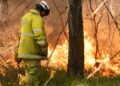 Planned burn: Bayview Conservation Area – 1 to 4 September 2026
