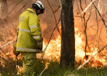 Planned burn: Bayview Conservation Area – 1 to 3 September 2026