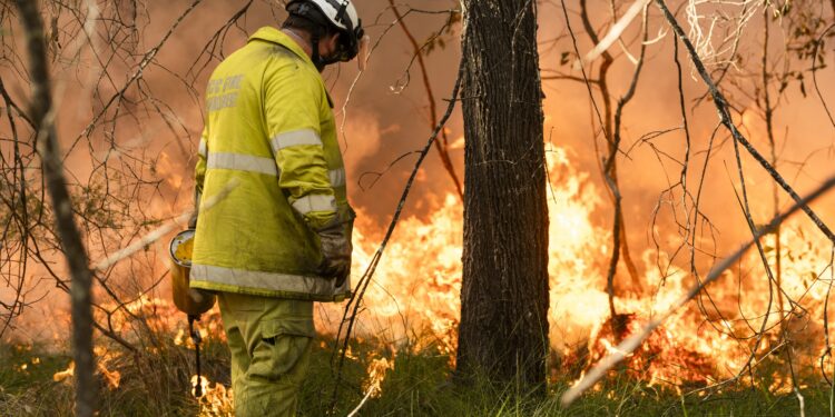 Planned burn: Bayview Conservation Area – 1 to 3 September 2026