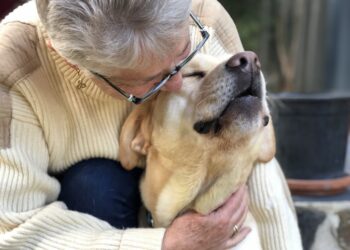 Creating connection and inclusion in Dementia Action Week 