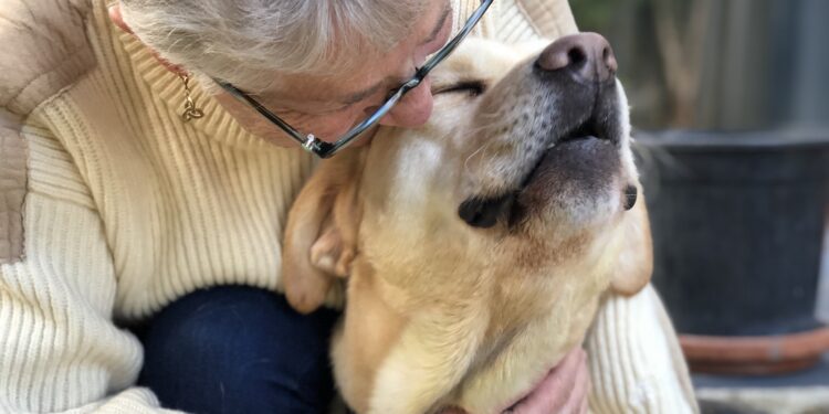 Creating connection and inclusion in Dementia Action Week