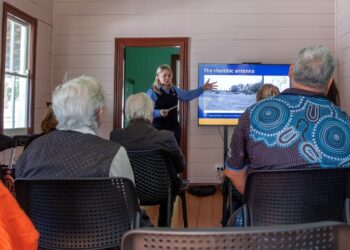 Libraries awarded for innovative heritage programs